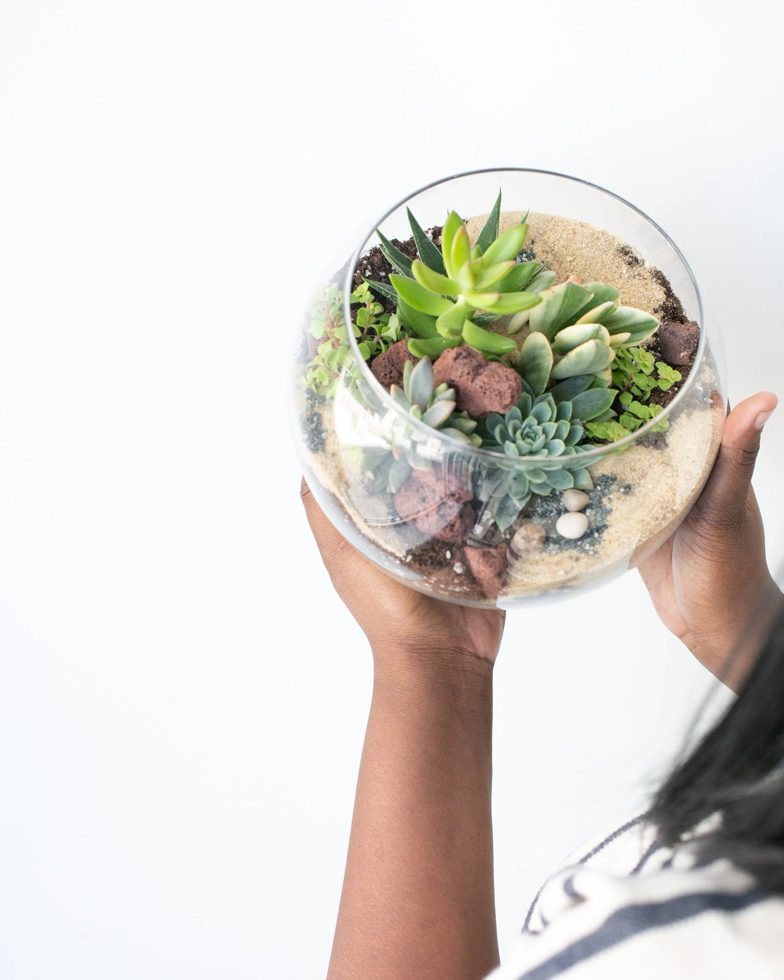 Succulent+Terrarium+Workshop.